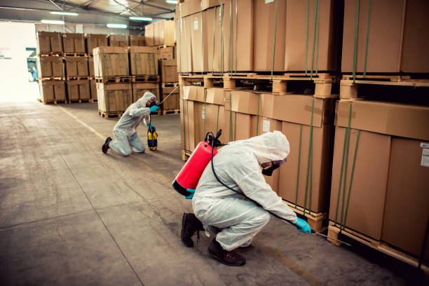 Best Affordable Pest Control Services  in Shiprock, NM