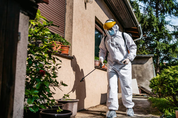 Best Commercial Pest Control Services  in Shiprock, NM