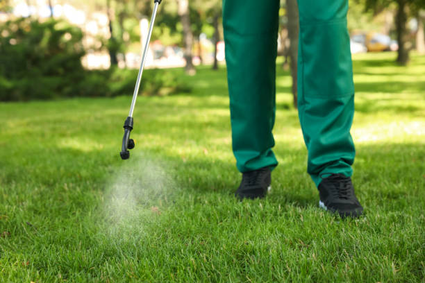 Best Exterminator Services  in Shiprock, NM