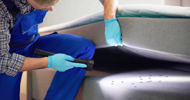 Best Best Pest Control Near Me  in Shiprock, NM
