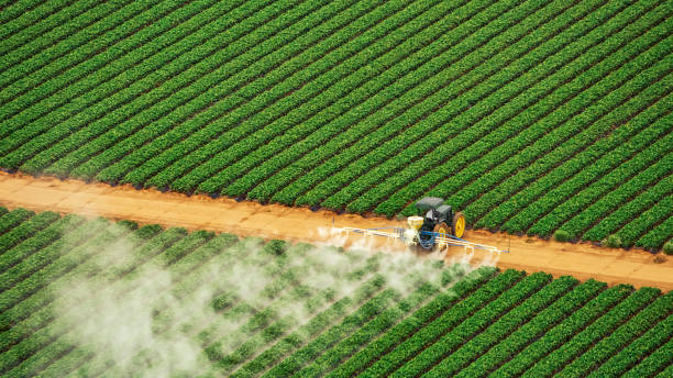 Best Ant Control Services  in Shiprock, NM